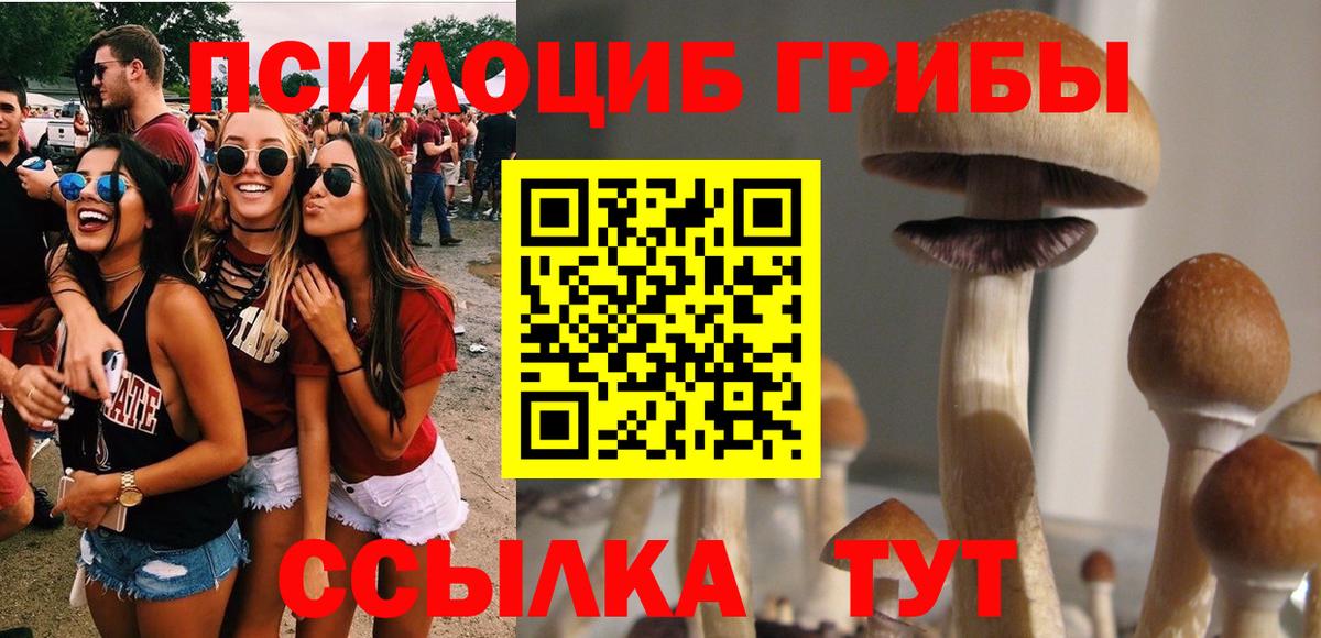 Галлюциногенные грибы Magic Shrooms Новотроицк